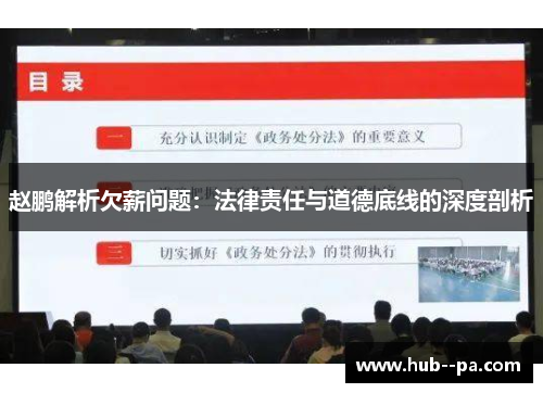 赵鹏解析欠薪问题：法律责任与道德底线的深度剖析