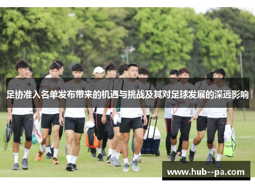 足协准入名单发布带来的机遇与挑战及其对足球发展的深远影响